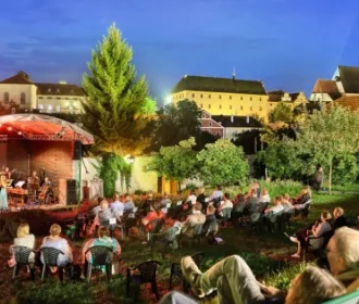 Koncerty festivalové zóny