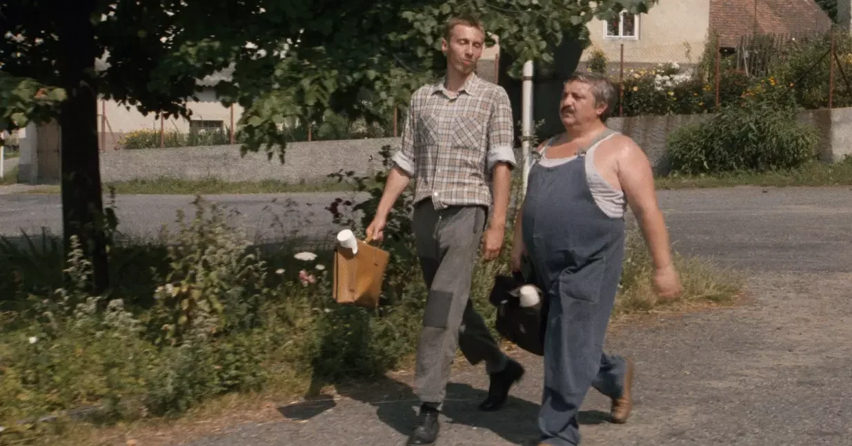 Letní kino Vesničko má středisková