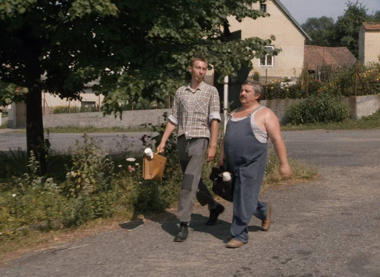 Letní kino: Vesničko má středisková